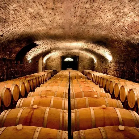 Nelle Vigne * Capriva del Friuli