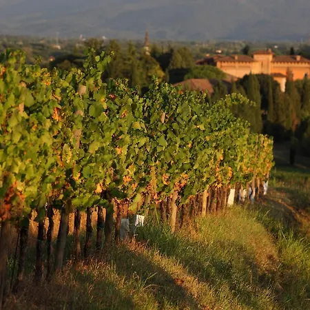 Nelle Vigne * Capriva del Friuli