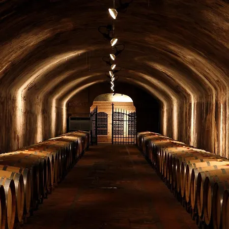 Nelle Vigne * Capriva del Friuli