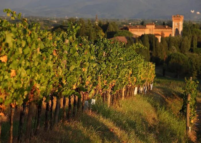 Nelle Vigne * Capriva del Friuli