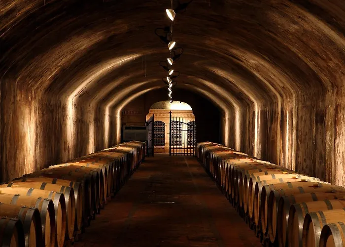 Nelle Vigne * Capriva del Friuli